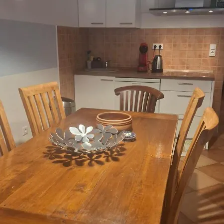Apartament Casa Milesic *